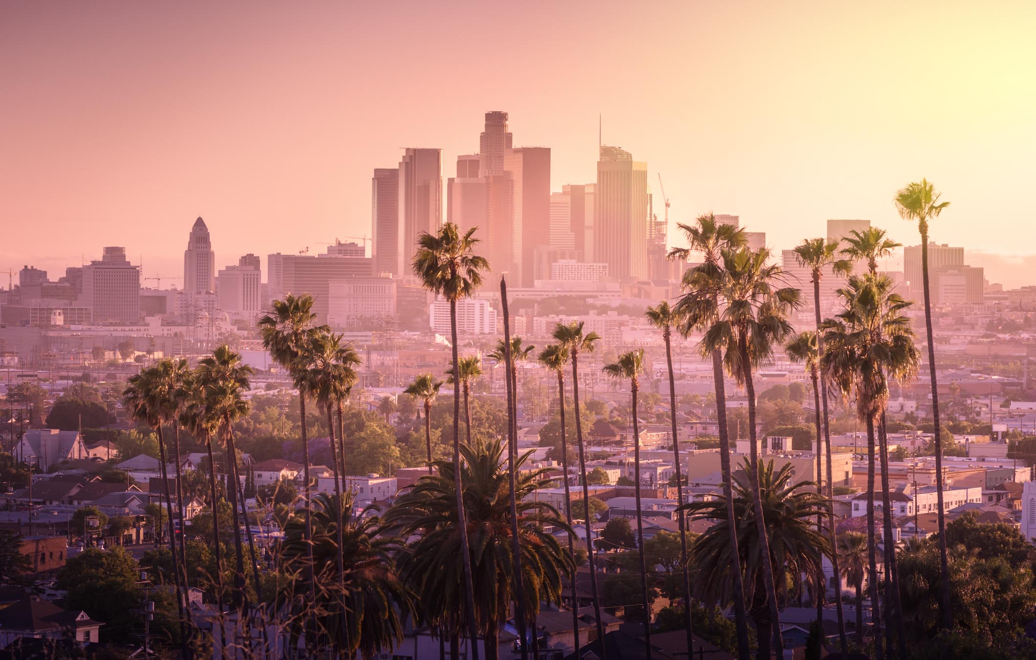 A city skyline at sunset with palm trees in the foreground.